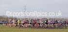 Senior womens Northern Cross Country  Championships, Pontefract. Photo: David T. Hewitson/Sports for All Pics
